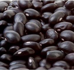 CDC Blackstrap Black Bean Seed