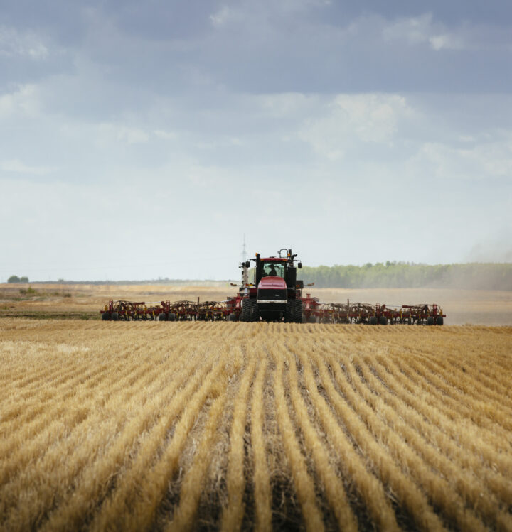 Drill Seeding into Stubble