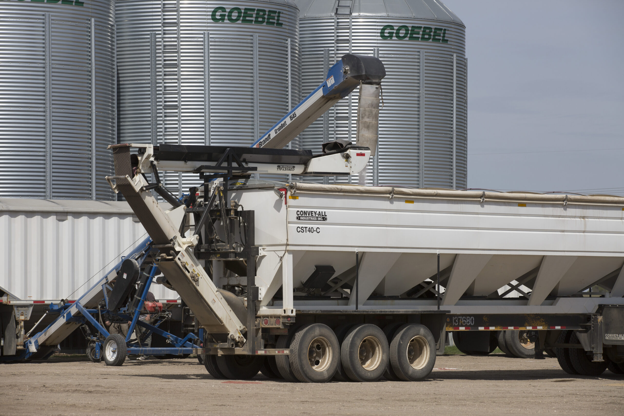 Auger Unloading into Truck