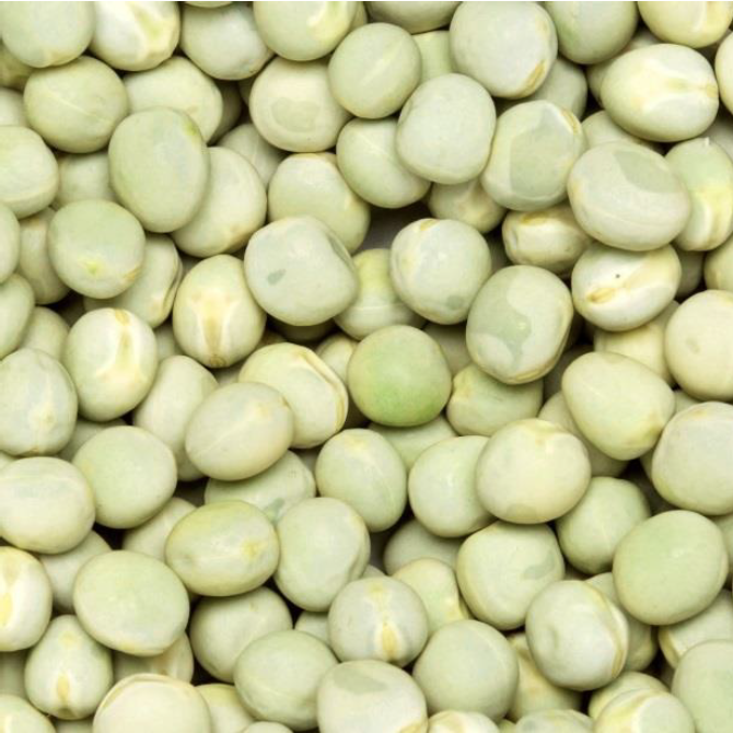 CDC Forest Pea Seed